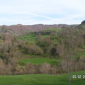 Cantal-Mai-2008-0003