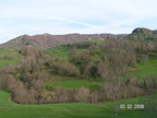 Cantal-Mai-2008-0003