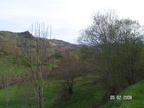 Cantal-Mai-2008-0004