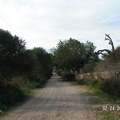 Cala-Figuera-Mallorca-2007-02-0061.jpg