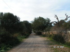 Cala-Figuera-Mallorca-2007-02-0061