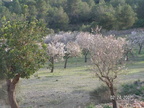 Cala-Figuera-Mallorca-2007-02-0065