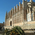 Palma-2007-02-0007