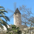 Palma-2007-02-0012