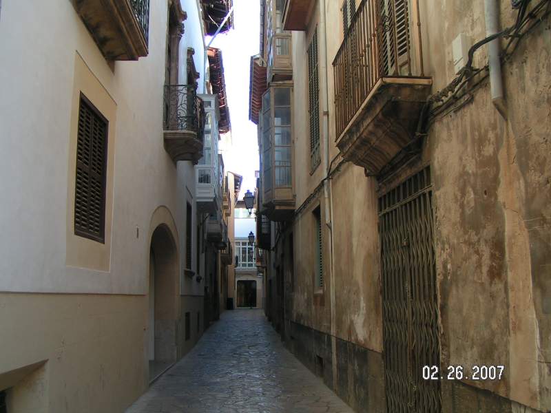 Palma-2007-02-0017